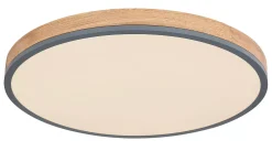 Deckenleuchten | Globo Deckenleuchte
