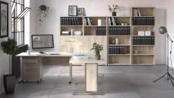 Büroregale | Tvilum Regal