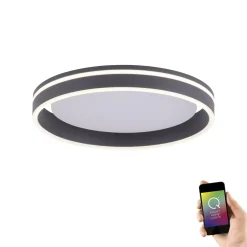 Deckenleuchten | Paul Neuhaus Smart-Home-Leuchten