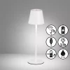 Akku-Leuchten | Tischleuchten | FHLighting Tischleuchte