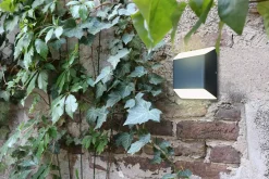 Außenwandleuchten | Eco-Light Wand-Aussenleuchte